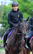 【Ｇ１トク捜リレー】美浦・坂本記者が人気の盲点とみる馬　スムーズなら馬具効果で再び激走可能　宝塚記念