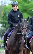 【Ｇ１トク捜リレー】美浦・坂本記者が人気の盲点とみる馬　スムーズなら馬具効果で再び激走可能　宝塚記念