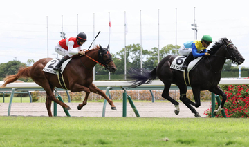 【中京３Ｒ・２歳新馬】ショウナンパンドラの息子ショウナンバトレニは母同様に２着発進　松山弘平騎手「今日は枠の差が…」