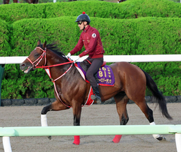日本馬最上位フォーエバーヤング＆メイショウタバルは１７位タイに後退　ロンジンワールドベストレースホースランキング