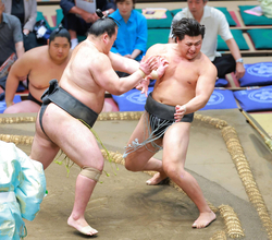 幕下のイケメン注目力士・大森　元十両・大辻に押し出され今場所初黒星　「うまく突き放された」