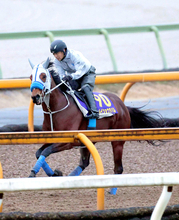 【有馬記念】ドラマ「ザ・ロイヤルファミリー」出演の勝浦正樹元騎手がメイショウタバルに自信の◎