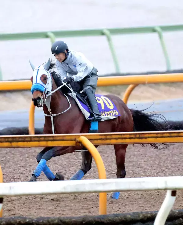 【有馬記念】ドラマ「ザ・ロイヤルファミリー」出演の勝浦正樹元騎手がメイショウタバルに自信の◎