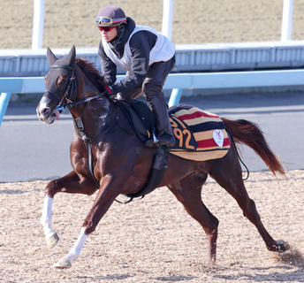 【京成杯】見た目以上のタイムは能力の表れ「いい調教ができました」軽めの調整も上原佑調教師はグリーンエナジーに手応え