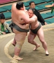 体重１４３キロ差対決　序二段・新屋敷「二番後取り直し」の末、２５２キロの出羽ノ城に勝つ