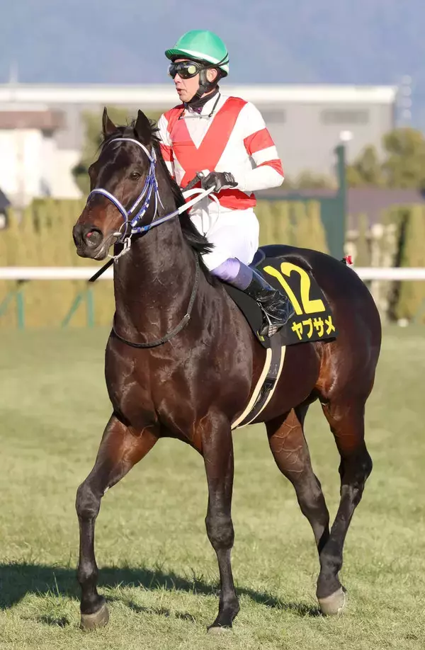 【シルクロードＳ】武豊騎手騎乗のヤブサメが重賞初挑戦　石橋調教師は「本格化がうかがえる内容」と前走評価