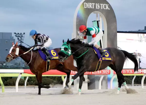 勝ちタイムは２分５０秒１...国内ダート重賞で最長距離の名物レース　勝ったのは１番人気グリューヴルム【大井・金盃】