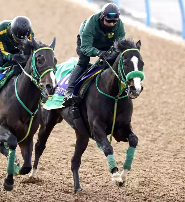 【フェブラリーＳ】「何も文句ないです」斎藤誠調教師も出来に自信　ブライアンセンスがパワフルに躍動