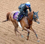 「【中山記念】シャンパンカラー復活へ岩田康誠「申し分ない」」の画像1