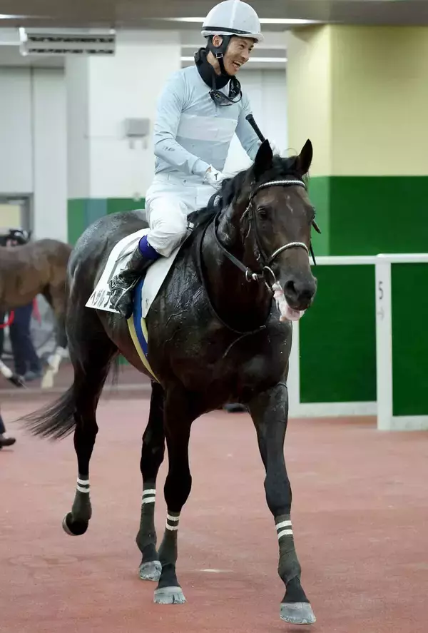 【中山グランドＪ】ヘザルフェンが一角崩しへ　５年ぶりＶ目指す森一馬騎手「いろいろな課題をクリアしつつあります」