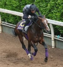 【天皇賞・春】スティンガーグラスが歩様の違和感で回避　今後は宝塚記念視野　友道調教師「いつもより力強さに欠ける感じ」