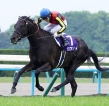 【注目馬動向】天皇賞・春でＧ１連勝のクロワデュノールは放牧へ　斉藤崇調教師「脚元も大丈夫。問題なさそうです」
