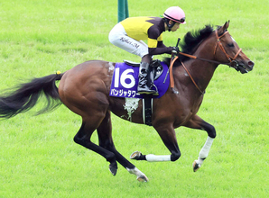 【安田記念】Ｇ１・２勝目狙ったパンジャタワーは５着　松山弘平騎手「１６番枠がどうかと思ったけど...」