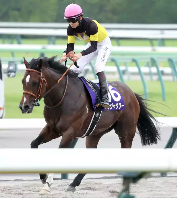 【安田記念】Ｇ１・２勝目狙ったパンジャタワーは５着　松山弘平騎手「１６番枠がどうかと思ったけど...」