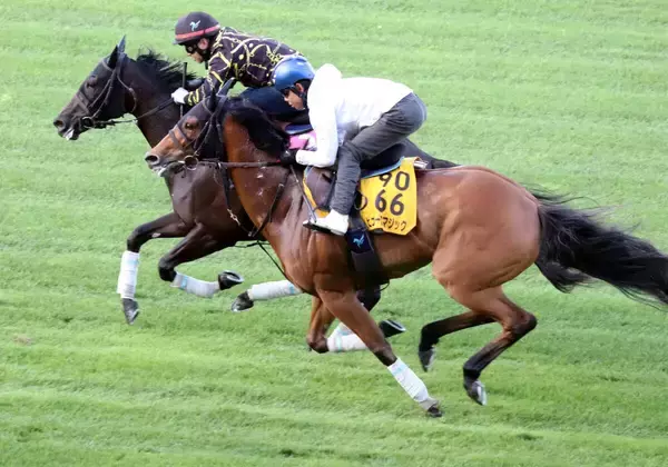 【函館スプリントＳ】快速牝馬ピューロマジックは馬なりで併入　北村友一騎手「並びかけてゴールするという指示」
