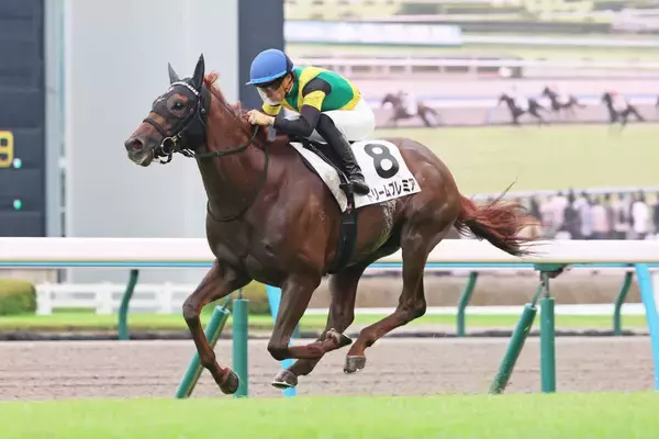 【１８日の注目・福島９Ｒ】ワールドプレミア産駒ドリームプレミアが出走　菊花賞の父子制覇に夢つなぐか
