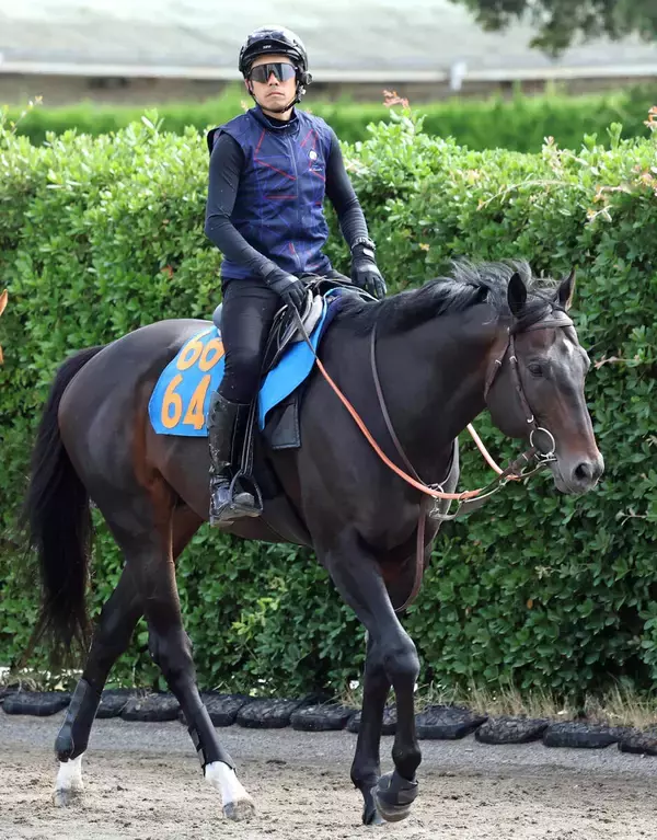 【エルムＳ・浅子の特注馬】ウェイワードアクトは前走の勝ち方に舞台適性が凝縮　実は先入観を覆す右回り巧者！？