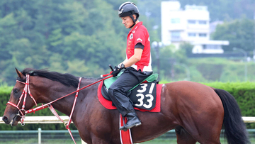 【神戸新聞杯・水納の特注馬】２連勝中カフジエメンタールは春より成長　距離延長も問題なし