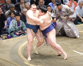 安青錦が連敗　豪ノ山の一気の押しに苦杯