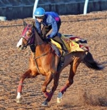 【カペラＳ】連覇を狙うガビーズシスターが得意の条件で視界良好　森一調教師「いい状態できています」