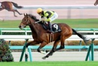【注目馬動向】葉牡丹賞で２歳ＪＲＡレコード更新のサノノグレーターは年内休養へ