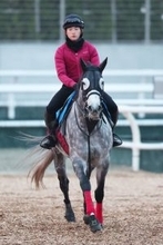 【日経新春杯・水納の特注馬】ミュージアムマイルの２着が２回　強い４歳世代ヤマニンブークリエの一発に期待