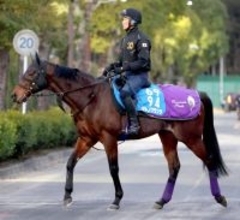 【注目馬動向】３年連続の挑戦となるサトノグランツがアミールＴの招待を受託　ディープモンスターも