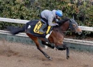 【小倉牝馬Ｓ】重賞初制覇の絶好機！３連勝中レディーヴァリューがパワフルな脚取り　小林調教師「描いていた通りの状態」