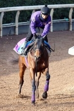 【シルクロードＳ】重賞初Ｖ狙うロードフォアエースは８枠１６番　エーティーマクフィは６枠１２番