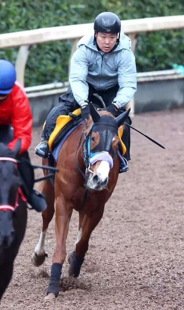 【中山牝馬Ｓ】クリノメイが火曜追い切りで力強い脚さばき　陣営「しまいはしっかり、この馬なりに動けていた」