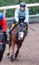 【中山牝馬Ｓ】クリノメイが火曜追い切りで力強い脚さばき　陣営「しまいはしっかり、この馬なりに動けていた」