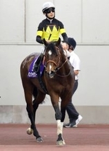 【高松宮記念】「最後の最後に脚が…」松山弘平騎手も無念　最内枠のパンジャタワーは４着