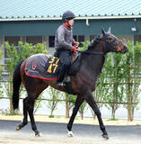 「【チャーチルダウンズＣ】武豊騎手のリゾートアイランドは３枠３番　シンザン記念Ｖのサンダーストラックは４枠６番」の画像1