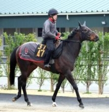 【チャーチルダウンズＣ】武豊騎手騎乗のリゾートアイランドは３枠３番　シンザン記念Ｖのサンダーストラックは４枠６番　枠順確定