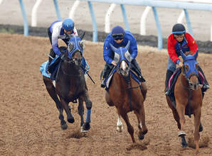 【中山ＧＪ】つきっきりも最後...ラストＪＧ１石神深一騎手がプラチナドリームと最終リハ「勝って引退式ができたら最高」