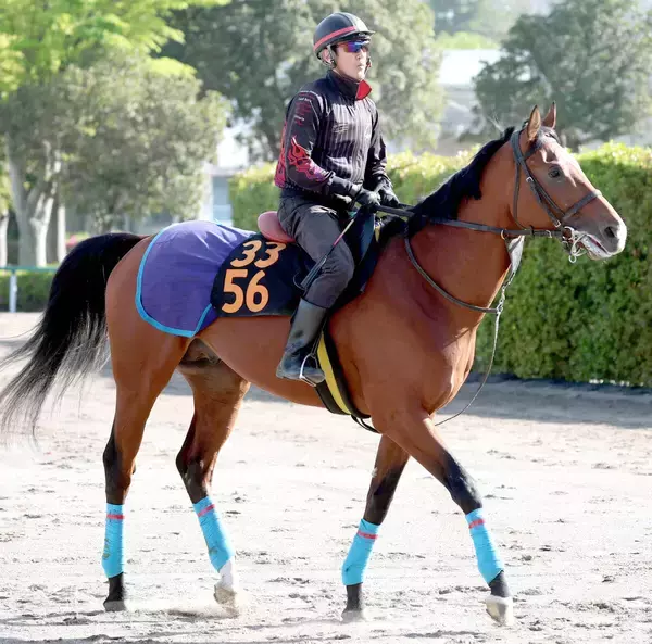 【ユニコーンＳ】セイントエルモズ重賞初挑戦Ｖへ　火曜も活気十分　小島調教師「状態は悪くないですよ」