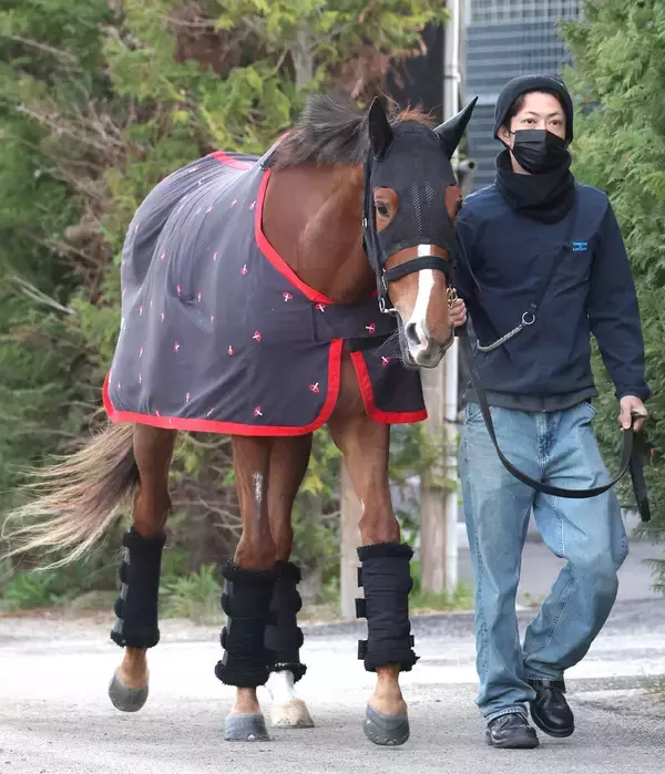 【注目馬動向】フェスティバルヒルは西村淳也騎手でクイーンＳ　サトノシャイニングはＪコレット騎手で中京記念へ