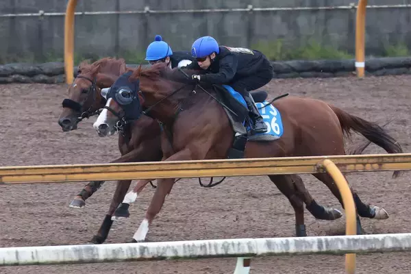 【シリウスＳ】昨年２着のサイモンザナドゥはパワフルな伸び脚披露　小林調教師「馬は充実していますね」
