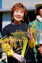 小林幸子　東農大で稲刈り！「楽しみでワクワク」　生徒らに「手でやることの意味を感じてくれれば」