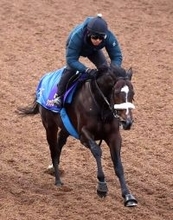 【チャンピオンズＣ・追ってひと言】最高評価Ｇ馬は「坂路でしっかり動いて伸びた」　国枝栄調教師はシックスペンスに自信