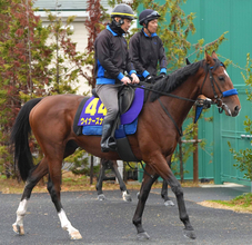 【ホープフルＳ】近年は高配当の期待値大　エンジンの掛かり遅いが直線に坂のあるコースならウイナーズナイン