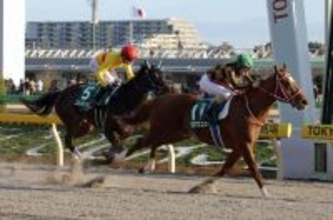 【競走伝】連闘でＧ１勝利、芝Ｇ１馬の砂投入…常識にとらわれない矢作イズムが詰まった「二刀流ホース」への道　２０年根岸Ｓ