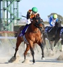 【フェブラリーＳ】コスタノヴァが史上３頭目の連覇　ルメール騎手「ブリンカーを使ってすごくいい反応」