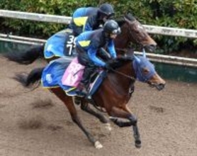 【報知杯ＦＲ】テイエムスティールは迫力十分に加速　高橋一調教師「このクラスでどのくらいやれるか」