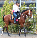 「【ニュージーランドＴ】３歳マイル路線の新星ロデオドライブ　イミグラントソングに続く辻厩舎連覇へ」の画像1