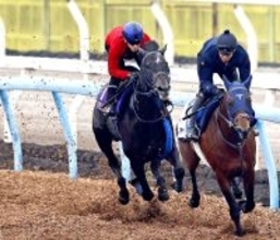 【皐月賞】リアライズシリウス抜群の推進力ラスト１１秒１　津村「一段階上がっていますね」手塚久調教師「先週に比べて鋭さが加わっている」