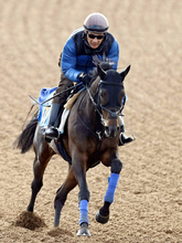 【注目馬動向】ダイヤモンドＳ２着のファイアンクランツは目黒記念へ