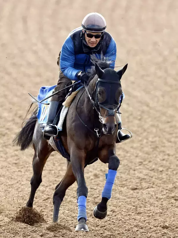 【注目馬動向】ダイヤモンドＳ２着のファイアンクランツは目黒記念へ