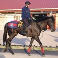 【青葉賞】無敗の人気馬ノーブルサヴェージが最終コーナーで競走中止にネット悲痛「止まり方心配すぎる」「無事であって」