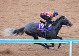 「【日本ダービー】津村明秀騎手が「間違いなくいい状態」のリアライズシリウスと頂点目指す」の画像1
